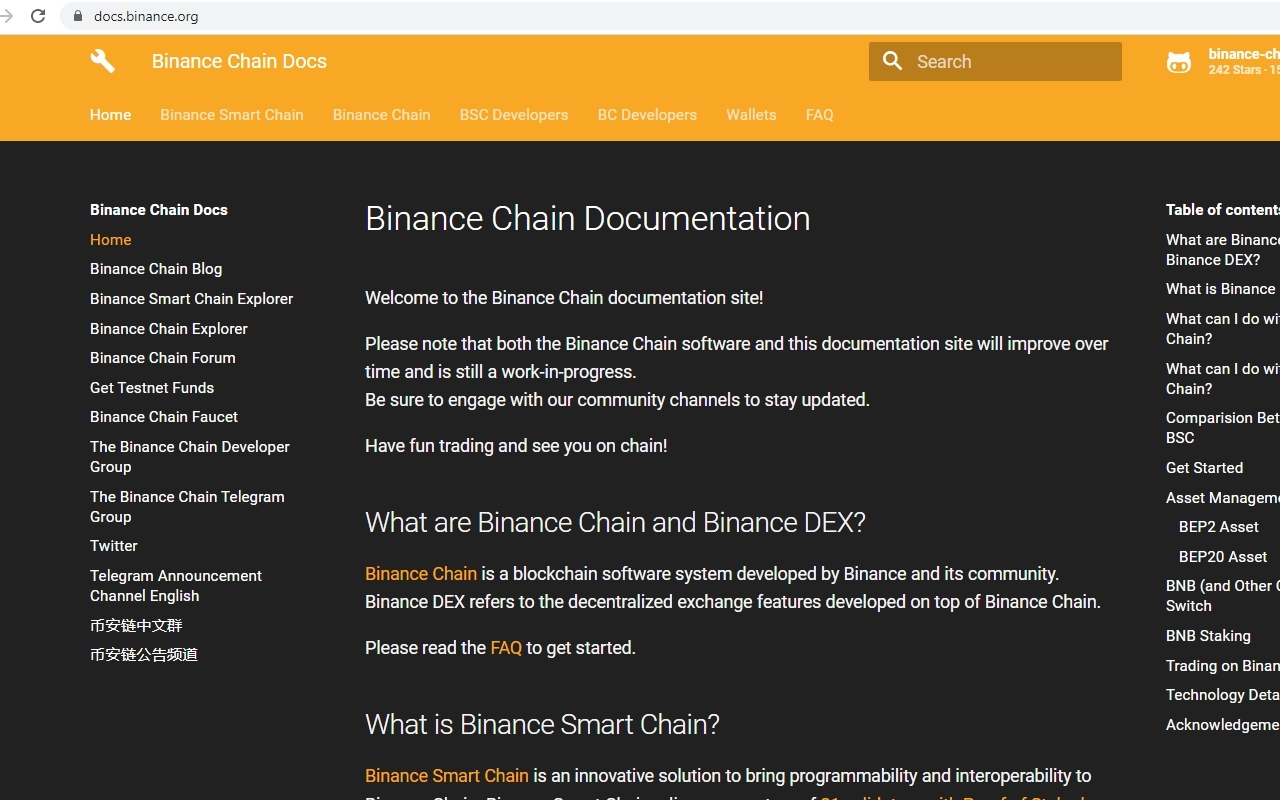 binance smart chain 